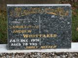 image of grave number 864361
